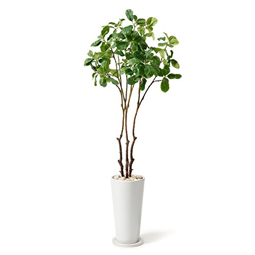 観葉植物 ガーデニング ウッドチップの人気商品 通販 価格比較 価格 Com