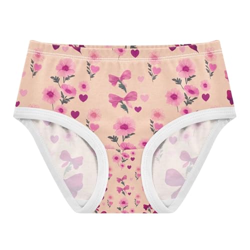 Pink Flowers Toddler Girls's Underwear 2T 202c1144