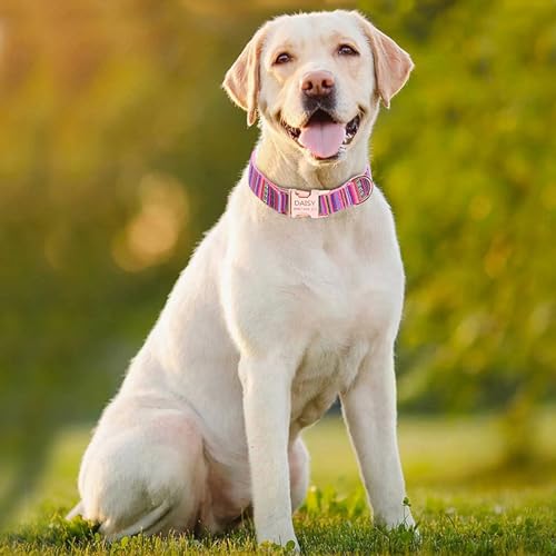 Collares Y Correas, Pet Products Imagen adicional