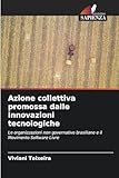  Azione collettiva promossa dalle innovazioni tecnologiche: Le organizzazioni non governative brasiliane e il Movimento Software Livre