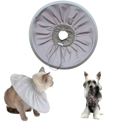 Lifetips`Cj[YNXebhhbO `CNLp GUxXJ[ h \tg y pPA ی Ȃߖh~ p EȒP 􂦂 PAJ[([~XgO[j(Lj