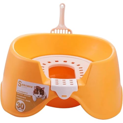 LʊAI[vgbvybggCALeAނ̔Lp̎qLgCgC (IWF)