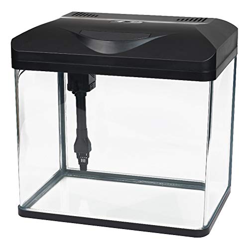 L'ACQUARIOFILIA SECONDO NATURA: Una riproduzione della natura sommersa non deve essere solamente bella, ma anche biologicamente corretta: per questo i prodotti Amtra Pro Nature si basano sulle istruzioni dettate da Madre Natura e ti permettono di realizzare meraviglie preservando l'ecosistema del tuo acquario