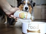 Hunde Smoothie SmoothieDog 6er Immunio (Rind) - Flüssiges Hundeleckerli - Zucker- & glutenfrei - je 250ml