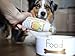 Hunde Smoothie SmoothieDog 6er Immunio (Rind) - Flüssiges Hundeleckerli - Zucker- & glutenfrei - je 250ml