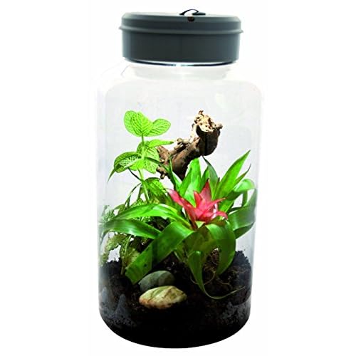 Lucky Reptiles - Insect Tarrium 5L