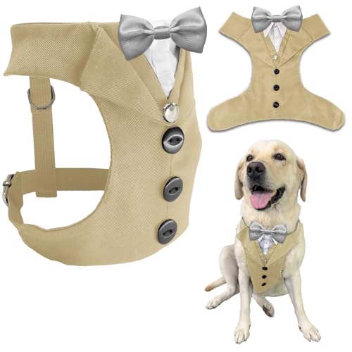 AVERYDAY �� �^�L�V�[�h �������� ���̃X�[�c �l�N�^�C �R�X�`���[�� �a���� �n���E�B�� �R�X�v�� �N���X�}�X �p�[�e�B�[ �y�b�g �t�H�[�}���E�F�A ���l�N�^�C�t�� �^�L�V�[�h ���^�� ��^�� �u���h�b�O ���u���h�[���E�n�X�L�[