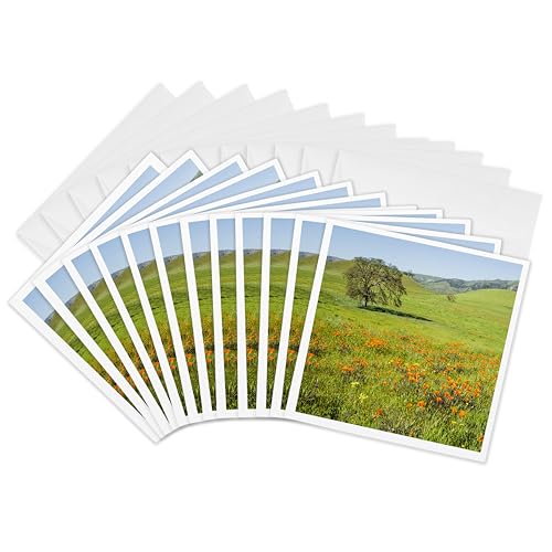 Cartes de vœux coquelicots de Californie pour correspondance