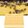Queen Bee Breeding Box, Bee Mating Nuc Hives Plastic Bee King Incubator Free Move Harmless Breeding Box Beekeeper Beekeeping Tool Beekeeper Supplies