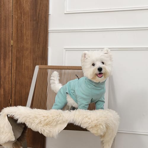 Image of Adjustable Recovery Suit for Small Dogs, Dog Pajamas, Green, XS
