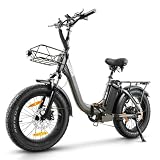 HANEVEAR Elektrofahrrad E Bike Klapprad mit 24Ah/48V Lithium-Akku | bis zu 140km, Fatbike Ebike mit Hydraulische Bremse, 250W 65Nm Heckmotor, Elektrofahrrad für Erwachsene (Grau)