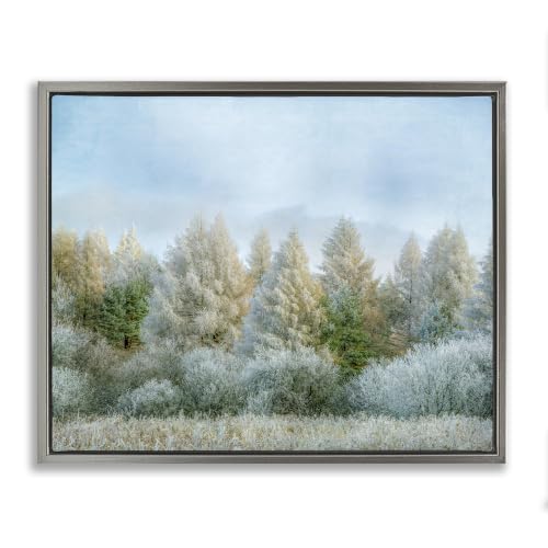 Stupell Industries 'Woodland Grove Forest Trees'| Floating Frame Canvas Art