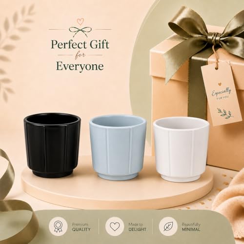 Image of Xtore 3 Pc Refined Minimalist White Ceramic Planter Pot for Indoor Plants & Tabletop Styling | Clean Cylindrical Form for Desk, Shelf & Home Decor (Pack of 3, Planters only)