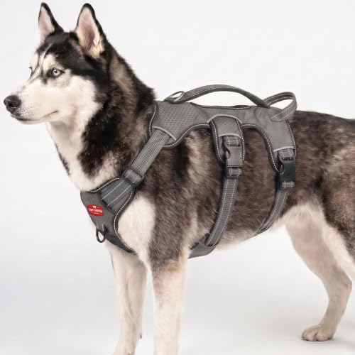Image of Tracker - No Pull Dog Harness | Front and Back Leash Attachment Points | 3M Reflective Stitching Increases Safety at Night | 5 Point Adjustable Fit Harness for Dogs | Padded Dog Harness for Comfort