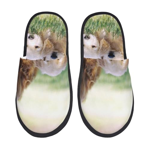 [JECASS] Q̌ lC v[g Aj Xbp  Y 􂦂 gC qp p E Xbpjp LN^[ ObY  fB[X ~ 킢 qpm