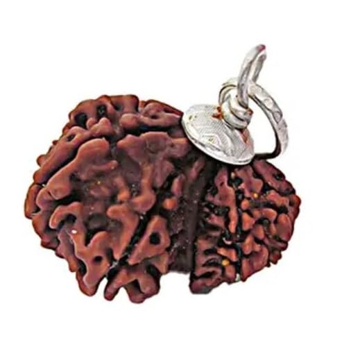 SRT Rudra Pure Garbh Gauri Rudraksha with Certificate गर्भ गौरी रुद्राक्ष Gauri Ganesh Rudraksha Original Nepal Bead Blessed Gauri Ganesh for Men Women-image-19