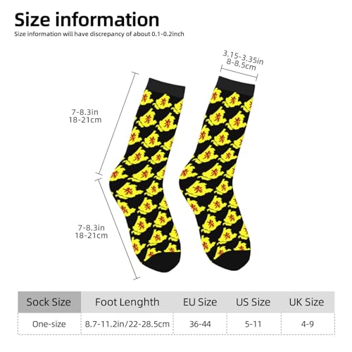 Flag Map of South Holland Socks For Men Women Gift Sport Crew Socks Funny Wicking Socks3