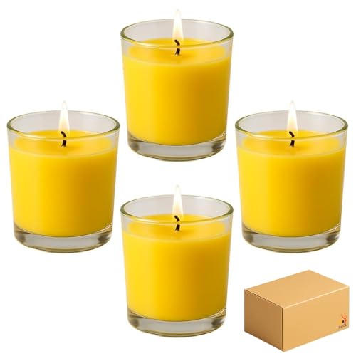 ANGIX Juego de 4 velas de citronela en tarros de cristal, ideales para repeler mosquitos, moscas e insectos, protección al aire libre de larga duración