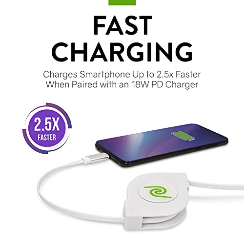 Retrak Usb C Cable, Usb C To Usb C 6Ft Retractable Cable, 60W Power Delivery For Macbook, Ipad Pro 2020, Ipad Air 4, Dell, Hp, Google Pixel 4A, And More #TOP4
