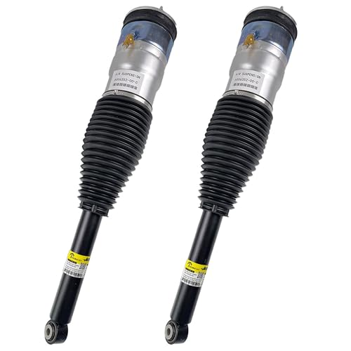 Paire vérins suspension pneumatique arrière Tesla Model S étanchéité 6006353-04-B