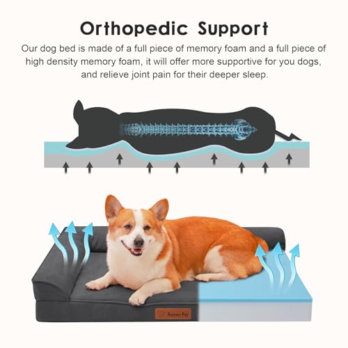 Image of Rainmr Microsuede Dog Bed for Small & Medium Dogs - Orthopedic Dog Bed with Removable Washable Cover, Memory Foam Pet Bed Mat, 35x23 Inches, Dark Grey