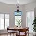 Ornamenta Handmade Pendant Light | Artistic Blown Glass Hanging Fixture | Stylish Home Decor & Kitchen Island Lighting | Decorative Ceiling Light | Pendant Lighting | Available in Multiple Sizes