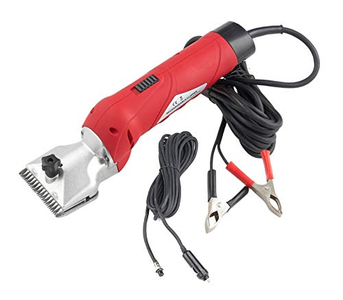 Folk Esquiladora peladora Modelo B6-LB, 12V- 250W, 2800 RPM inalámbrica- Caballos, mulos, Perros Grandes, Gatos (C- +1 Kit de Cuchilla y Peine 3mm)