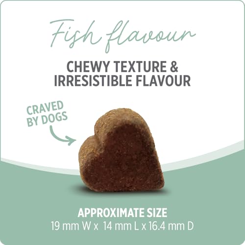 Nutrience Care® Skin & Coat Dog Supplement, 100 Soft Chews, 400 g by Nutrience - Image 2