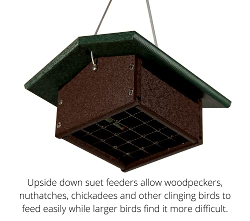 Jcs Wildlife Recycled Upside Down Single Suet Feeder Brown W/ Green Roof - 2 Suet Cake Capacity - Keeps Cakes Dry - Made In The Usa #TOP1