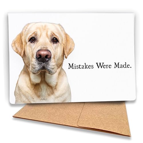 Fava Bean Productions Yellow Lab I'm SorryJ[h(Mistakes Were Made) ̃CG[uh[Ӎ (ʔbZ[Wv~AJ[h1) - 543