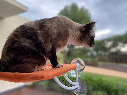 Petlon Cama De Janela Para Gatos Petlon - Laranja