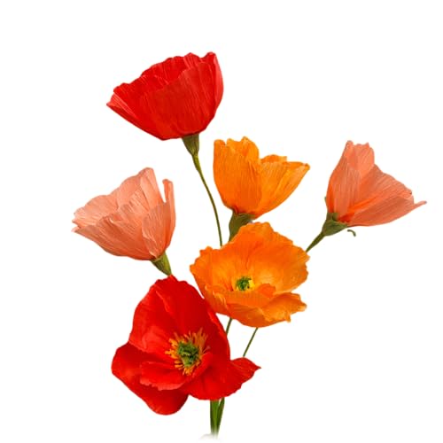 Mybbshower Orange Crepe Paper Poppy Flower DIY Making Kit Home Decoration Table Decor Pack of 24 pcs