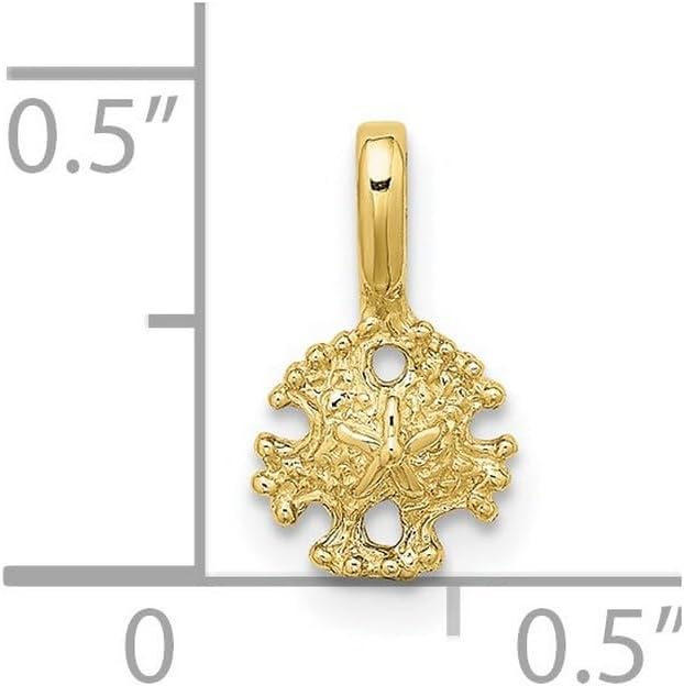 JewelryWeb 7.2mm 10k Solid Yellow Gold Mini Sand Dollar With Fixed Bail Charm Pendant Necklace for Women - Image 2