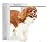 Dog Door for Interior and Exterior Doors, Upgrade Thicken Dog Doors for Large Dogs, Plastic Doggy Door and Cat Door with Security Cover and Magnetic Flap, Strong and Durable (Pets Up to 100Lb