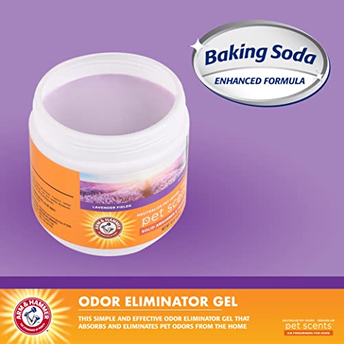 Image of Arm & Hammer For Pets Scents Solid Gel Deodorizer in Lavender Fields Scent | Room Deodorizer for Homes with Pets, Odor Removing Gel for Pet Smells, 15 Ounces - 12 Pack