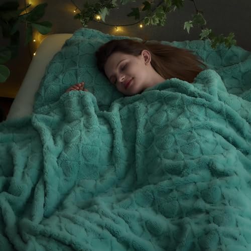 NEWCOSPLAY Super Soft Queen Blanket Sage Green Love Premium Silky Flannel Fleece 3D Heart Checkered Lightweight Bed Blanket All Season Use (Sage Green Love, Queen(90"x90"))