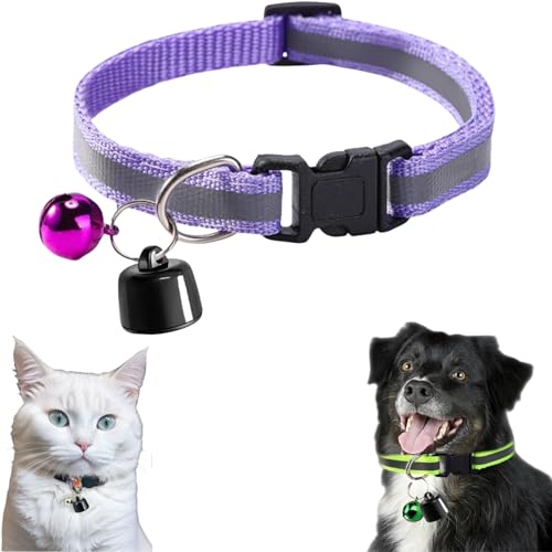 Collare GPS per gatto e cane - Mini localizzatore GPS per - Monitoraggio globale - senza costi aggiuntivi - compatibile con iOS e Android - per qualsiasi collare - localizzazione intelligente K