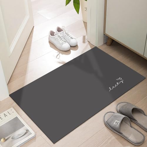LYGLIGH Ultra Thin Door Mat Indoor Entrance 1/10 in Thin Door Mats for Inside Entry Non-Slip Rubber Backing Washable Doormat Fade Resistant Absorbent Dirt Trapper 24X16 Dark Grey