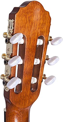 Winzz AC309CE-39 39 Inches Cutaway Nylon-String Classical Electric Guitar Build-In Pickup Kit Set Online Lessons thumb #4