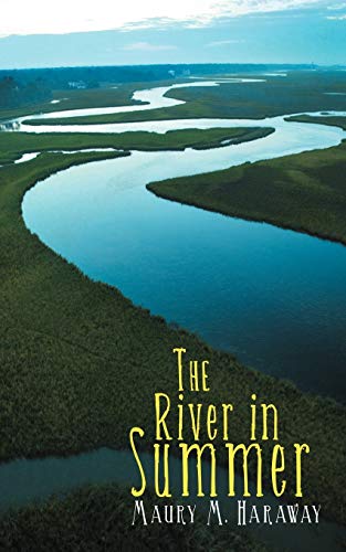 The River in Summer view 2