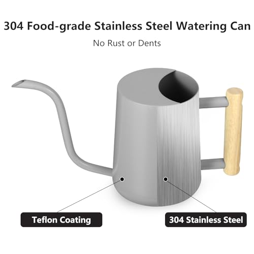 Image of Watering Can Indoor Plants, 35oz Small Indoor Stainless Steel Metal Watering Can Modern Decorative Watering Pot with Long Spout for Indoor House Plant Bonsai Garden Flowers (Gray)