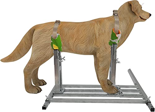 Sonorphine Suporte para criação de cães de aço inoxidável, altura e comprimento, suporte fixo para a