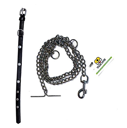 Tame Love Imported Stone Stud Fancy Collar and Chain for Small Puppies (0.75 inches) Available Color May Vary and Cast Hook Stainless Steel Chain for Dog (152 cm) (B08G1Q5WN3) Amazon Price History, Amazon Price Tracker