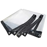 Telone Trasparente Ispessimento Bordo Traforato Antipioggia Impermeabile Tessuto di plastica Finestra Balcone Raccolto di Fiori Telo di Serra Grande Formato 125㎡ (Dimensioni: 3x10m)
