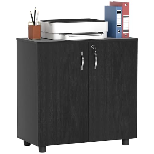 Vinsetto Armadietto per Documenti con Serratura, Armadio da Ufficio con 2 Ante e 2 Ripiani, Mobiletto Multiuso Portaoggetti con Maniglia in Lega di Alluminio, per Casa Ufficio, 80x40x80 cm, Nero