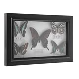 Décoration murale – ce cadre représentant un spécimen de attire le regard et ajoute une touche d'élégance à votre intérieur