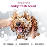 Babyfrisch Hundeshampoo von Buddycare - Shampoo für müffelige Hunde ab 8 Wochen - Baby-Puder-duftendes Welpen-Shampoo mit Aloe Vera und Provitamin B5 (500ml)