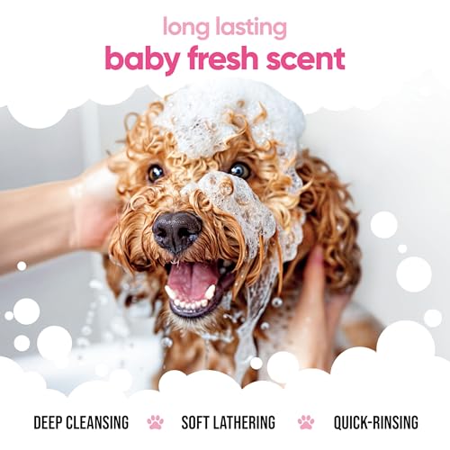 Babyfrisch Hundeshampoo von Buddycare - Shampoo für müffelige Hunde ab 8 Wochen - Baby-Puder-duftendes Welpen-Shampoo mit Aloe Vera und Provitamin B5 (500ml)