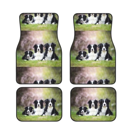 Alfombrillas para coche de Border Collie: neopreno antideslizante para tu vehículo