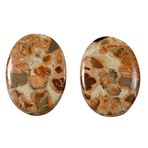 �f�����A�X ���I�p�_�C�g �W���X�p�[ �V�R �ȉ~�` �y�A �J�{�V���� ���[�X ��� 20.25 �J���b�g Kx05-B084Z238GG